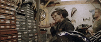 H-D Sport GIF by Harley-Davidson