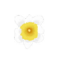 Flower Spring Sticker