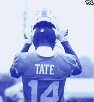 Tennessee Titans GIF by The Undroppables