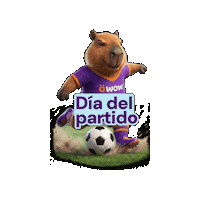 Wowfut Sticker by WOW Perú