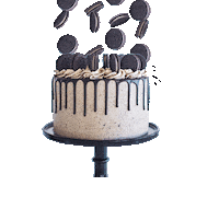 Cake Baking Sticker by Audrey Einerson