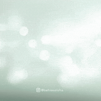 Merry Christmas Presents GIF by Aloha