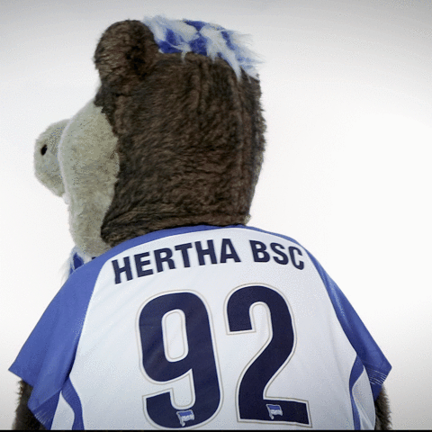 GIF by Hertha BSC