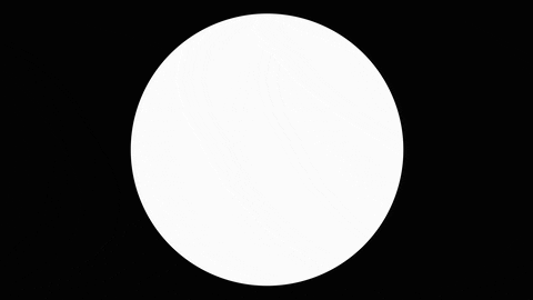 zapinfor giphyupload GIF