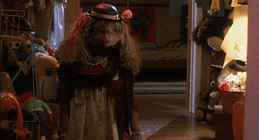 work out cats GIF