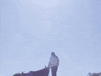 Horse Riding GIF by gracieabrams