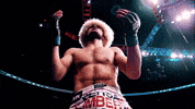 khabib nurmagomedov mma GIF by UFC