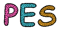 Pes Sticker