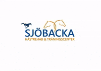 tibhorse sjöbacka GIF