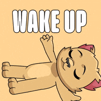 Late Night Wow GIF by Kabu
