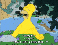 Season 1 GIF by The Simpsons