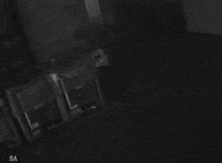 accident stumbling GIF by funk