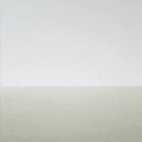 Chinese Art GIF by David Kims