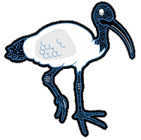 TheUniversityofQueensland uq the university of queensland uni of qld Sticker