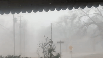 Strong Winds Whip Debris Into Air as Thunderstorms Hit Alabama