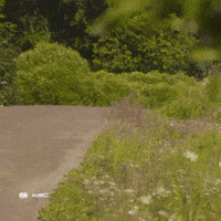 Jumping Ford GIF by FIA World Rally Championship