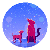 jackwatson05 space galaxy doggos big dog Sticker