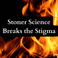 appliedpharmacognosy pharmacognosy GIF