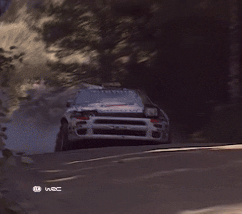 Rally Car GIF by FIA World Rally Championship