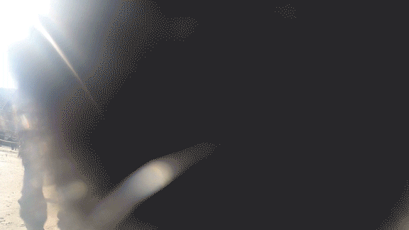 GIF by Planckendael