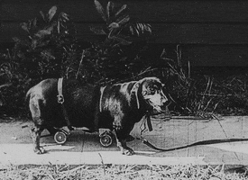 buster keaton daydreams GIF by Maudit