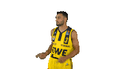 Ewe Baskets Basketball Sticker by EWE Baskets Oldenburg