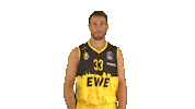 Ewe Baskets Basketball Sticker by EWE Baskets Oldenburg