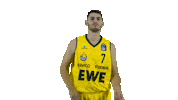 Ewe Baskets Basketball Sticker by EWE Baskets Oldenburg