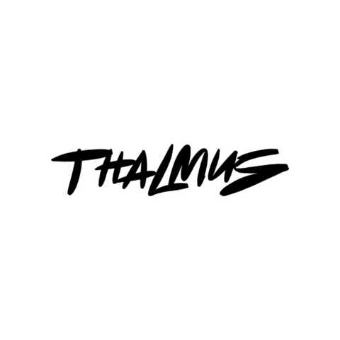 thalmuscastro giphygifmaker thalmus djthalmus thalmusdj Sticker