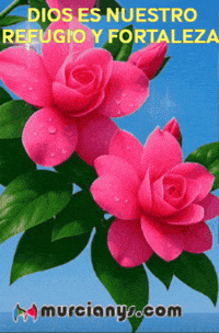 Amigos Buenos Dias GIF by Murcianys LLC