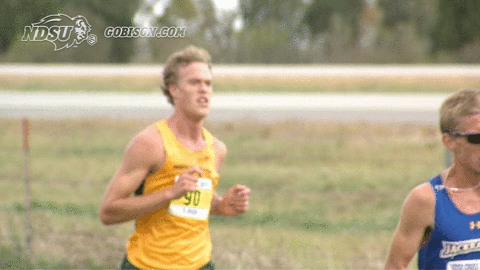 north dakota state bison GIF by NDSU Athletics