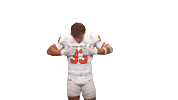 Cnfb Sticker by Carson-Newman Athletics