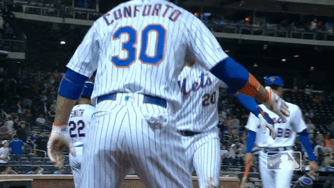 celebrate ny mets GIF by New York Mets
