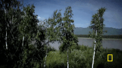 life below zero GIF by National Geographic Channel
