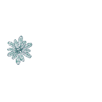 loccitanekorea happy smile flower 2021 Sticker