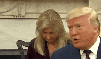 news donald trump interpreter translator GIF