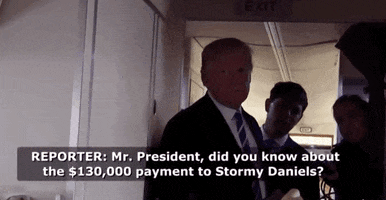 Donald Trump GIF by GIPHY News