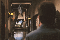 T Rex GIF by University of Alaska Fairbanks