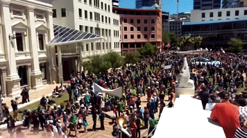 Among Nationwide Climate Marches in New Zealand, Biggest Turnout in Wellington