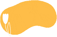 Sunshine Boho Sticker