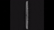 GIF by THE GAME IS NOW