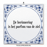 Humor Moment GIF by Tegelspreuken.nl