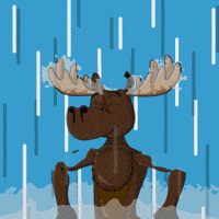 DoYouMoose training train waiting wait GIF
