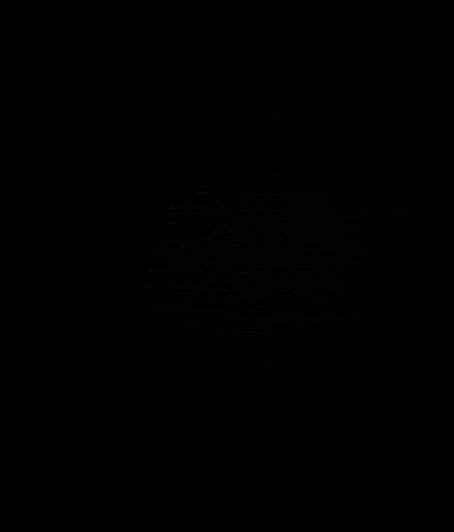 Tequilasoundfestival giphyupload tequila tsf tequilasoundfestival GIF