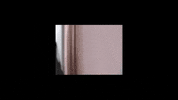 subpoprecords joy sub pop subpop sunlight GIF