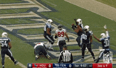 Tennessee Titans Football GIF by NFL