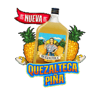 Pina Octavo Sticker by Quezalteca Oficial