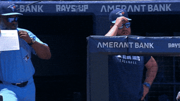 Blue Jays Baseball GIF by Toronto Blue Jays
