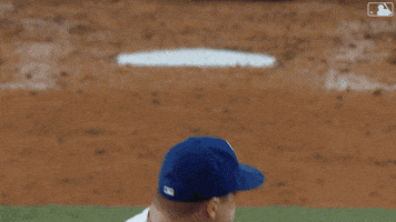 Blue Jays Baseball GIF by Toronto Blue Jays