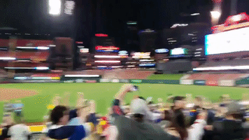 St. Louis Blues Fans Celebrate at Busch Stadium